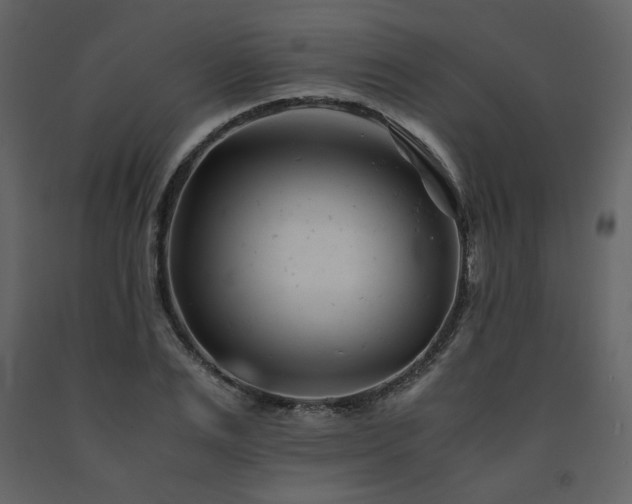 X0000091660983200708231301