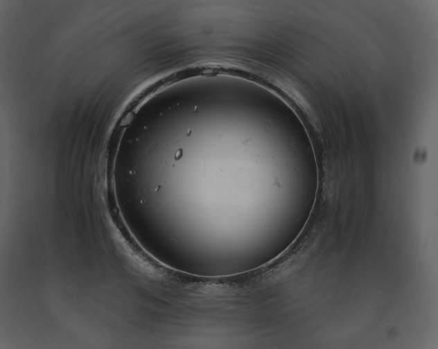 X0000091660984200708231301