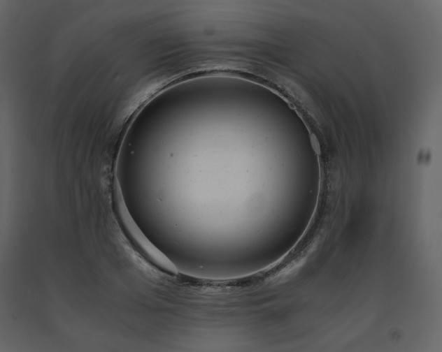X0000091660985200708231301