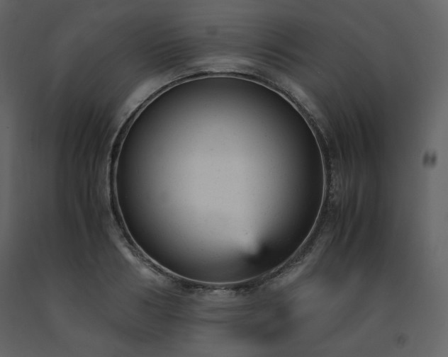X0000091660986200708231301