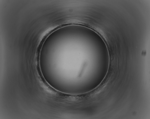 X0000091660987200708231301