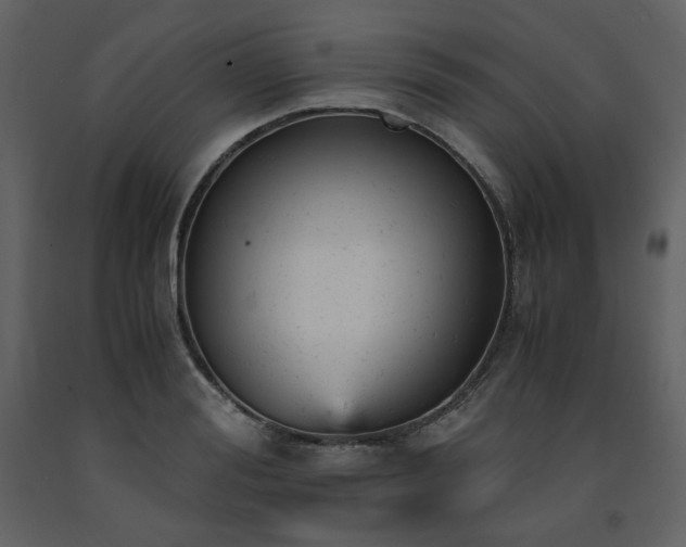 X0000091660988200708231301