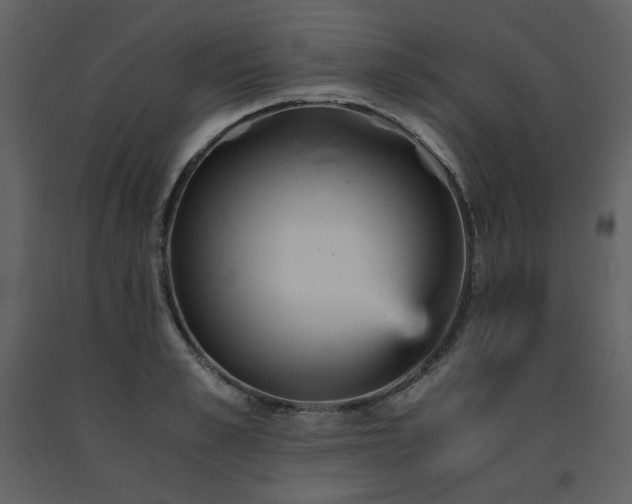 X0000091660989200708231301