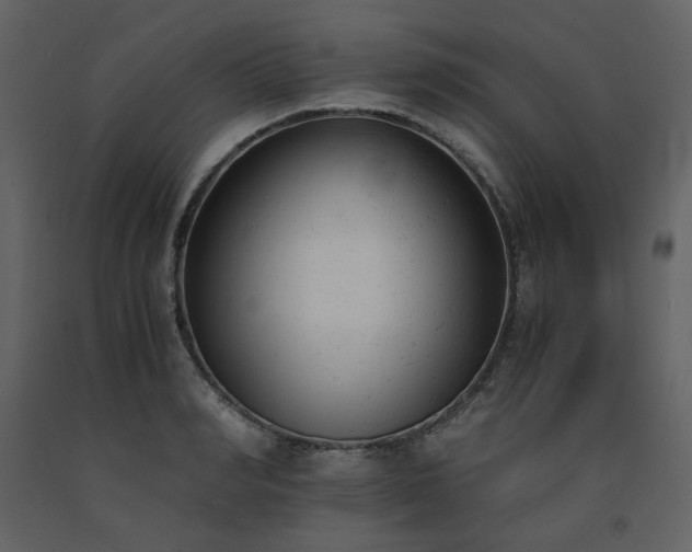 X0000091660990200708231301
