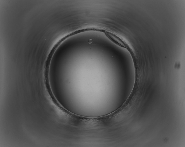 X0000091660991200708231301