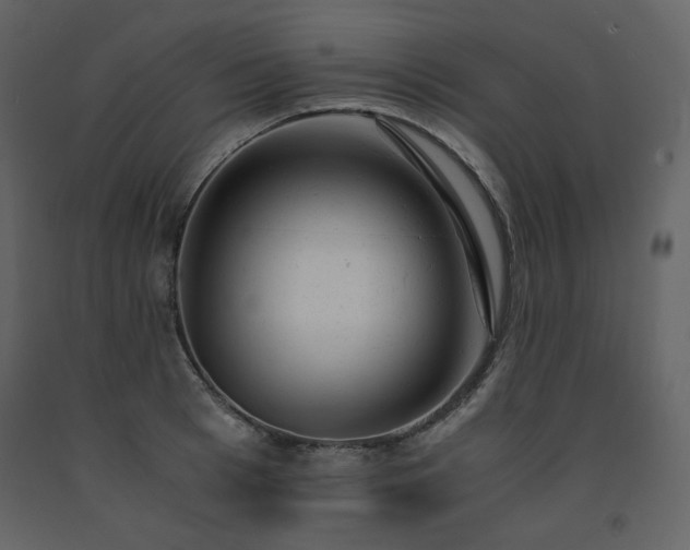 X0000091660993200708231301