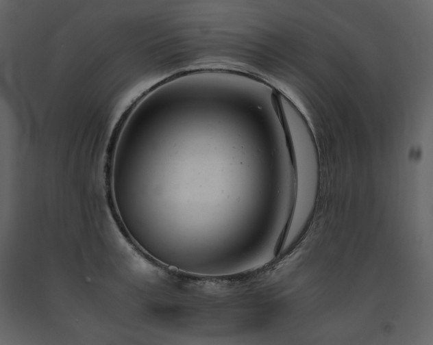 X0000091660995200708231301