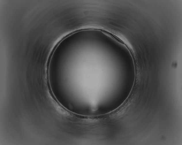 X0000091660996200708231301