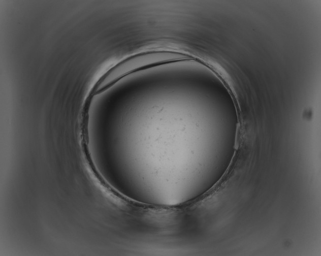 X0000091660997200708231301