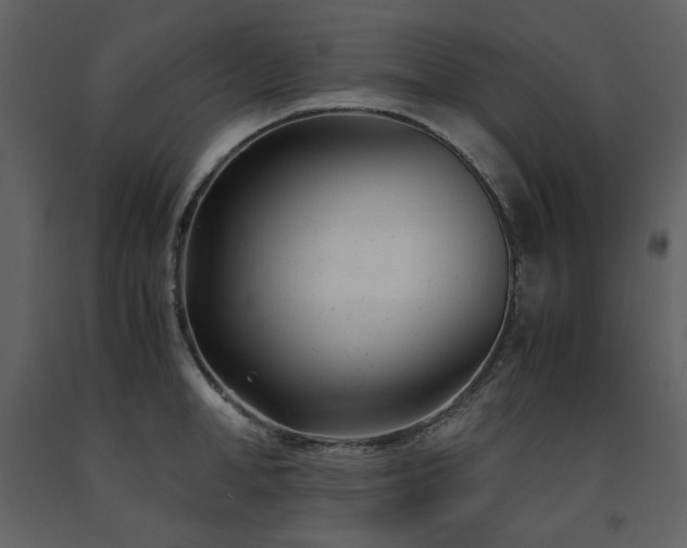X0000091660998200708231301
