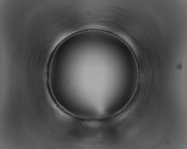 X0000091660999200708231301