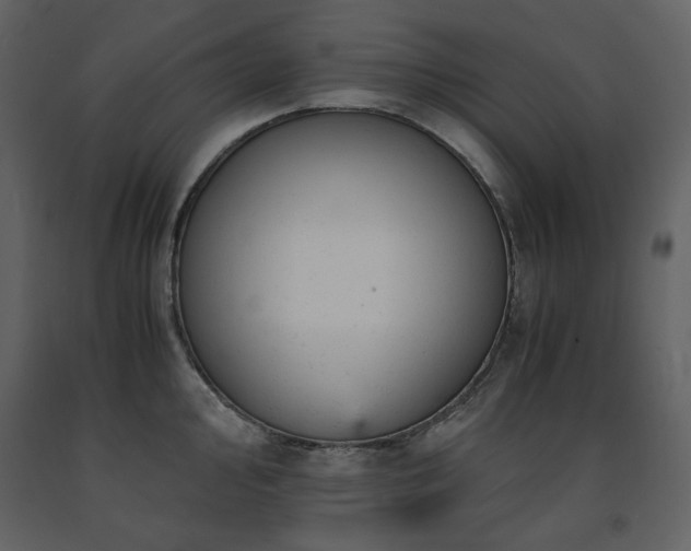 X0000091661000200708231301