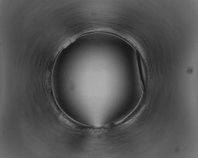 X0000091661001200708231301