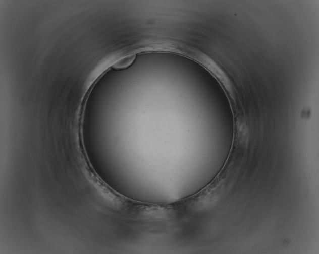 X0000091661002200708231301