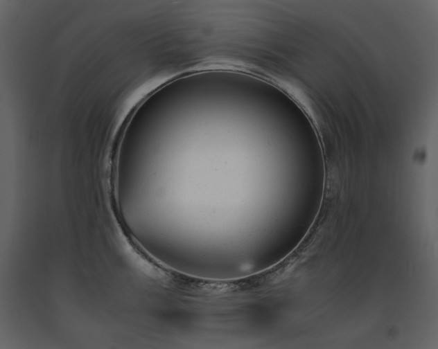 X0000091661003200708231301