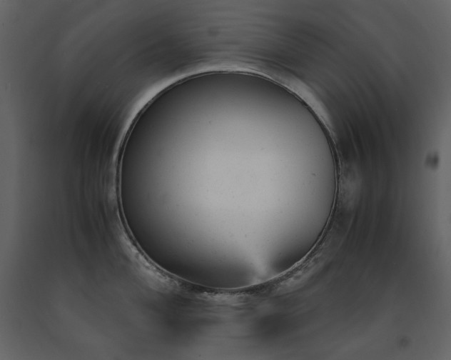 X0000091661004200708231301