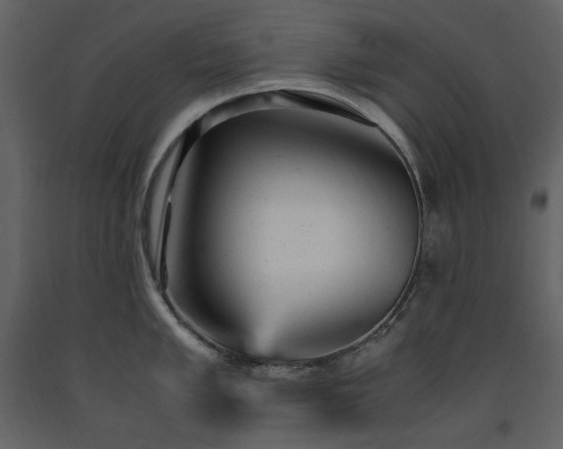 X0000091661005200708231301