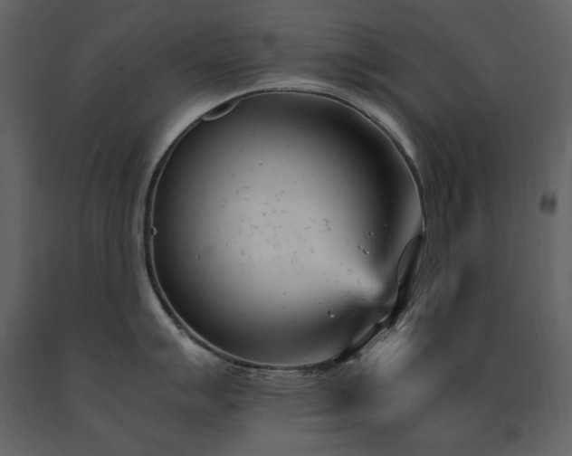 X0000091661007200708231301