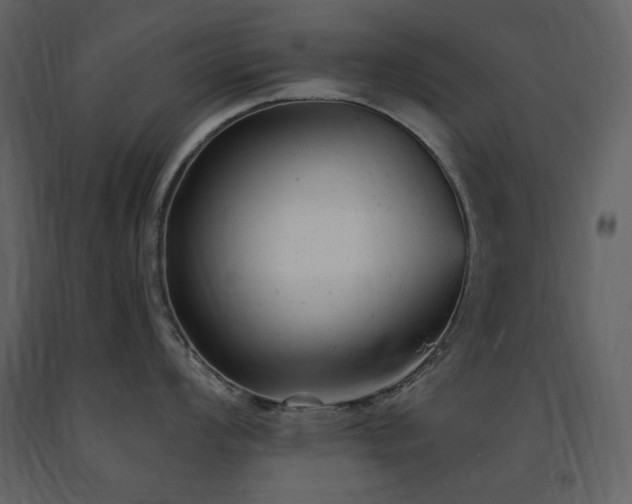 X0000091661008200708231301