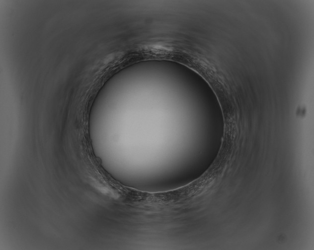 X0000091661009200708231300