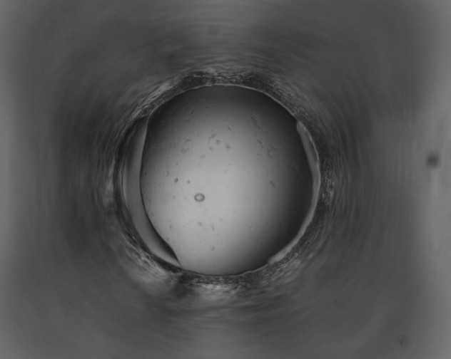 X0000091661010200708231300