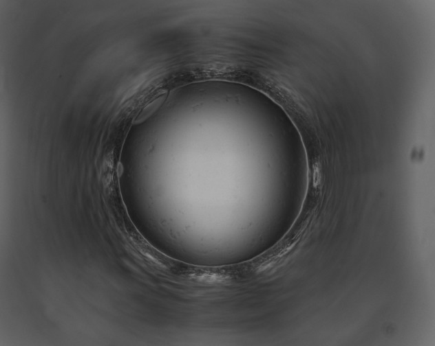 X0000091661011200708231300