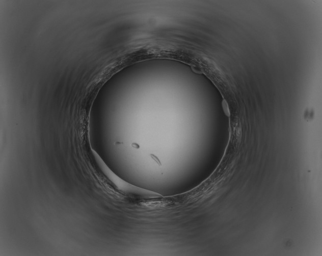X0000091661012200708231300