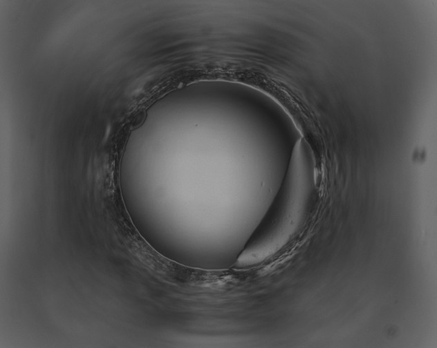 X0000091661013200708231300