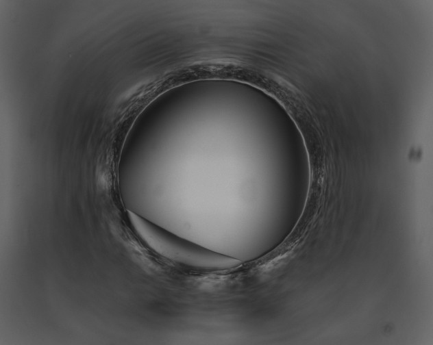 X0000091661014200708231300