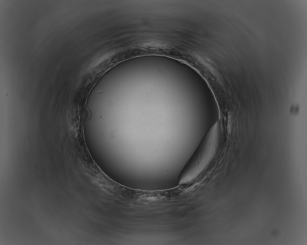 X0000091661015200708231300