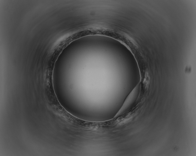 X0000091661016200708231300