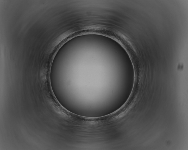 X0000091661017200708231300