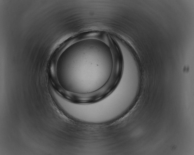 X0000091661018200708231300