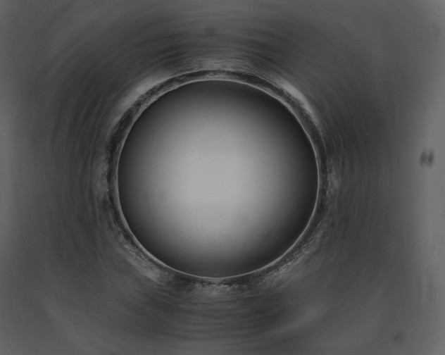 X0000091661019200708231300
