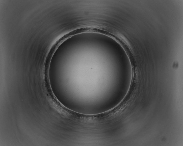 X0000091661020200708231300