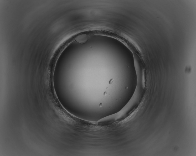 X0000091661021200708231300