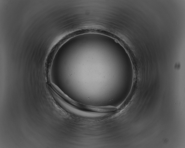X0000091661022200708231300