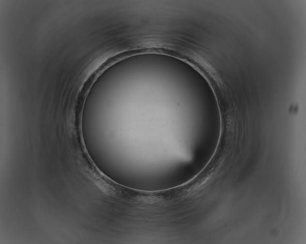 X0000091661023200708231300