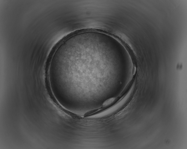 X0000091661024200708231300