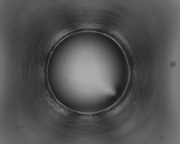 X0000091661025200708231301