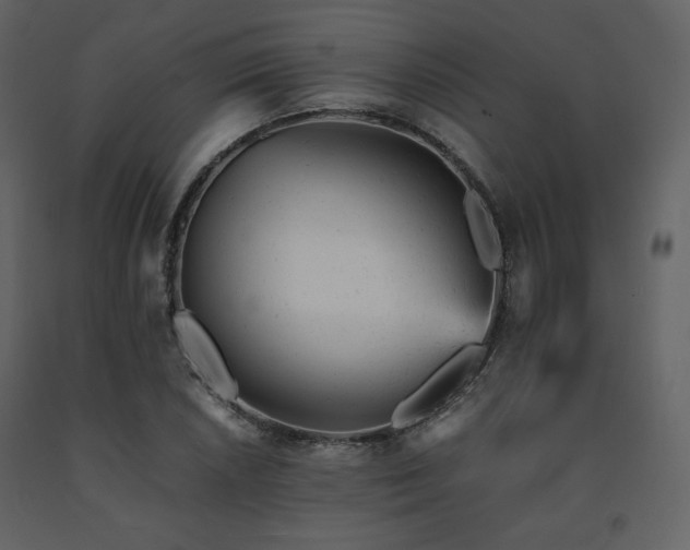 X0000091661026200708231301