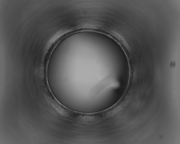 X0000091661027200708231301