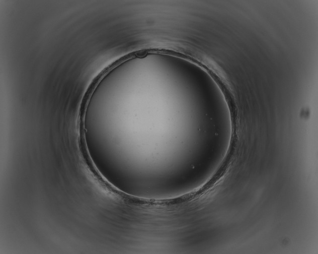 X0000091661028200708231301