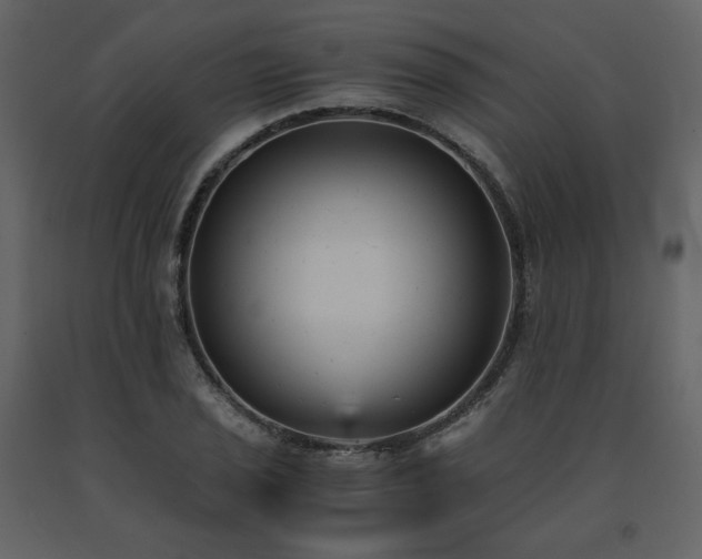 X0000091661029200708231301