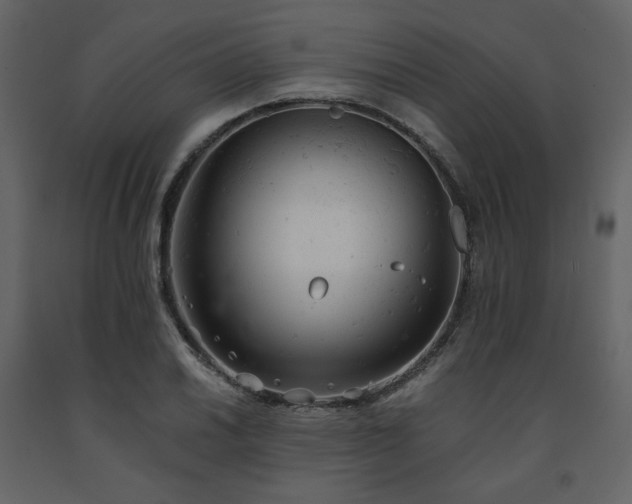 X0000091661030200708231301