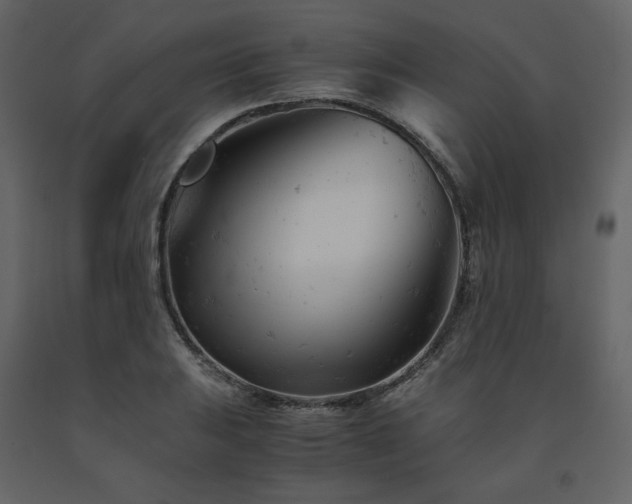 X0000091661031200708231301