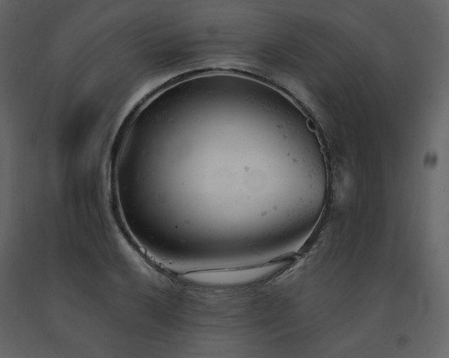 X0000091661032200708231301