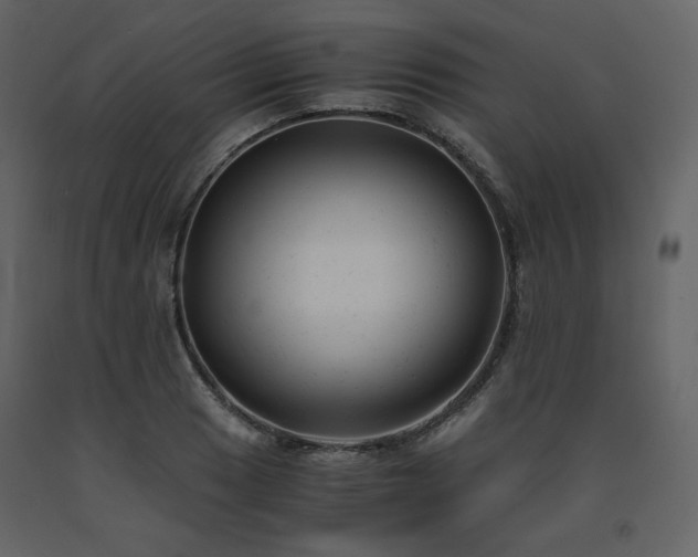 X0000091661033200708231301