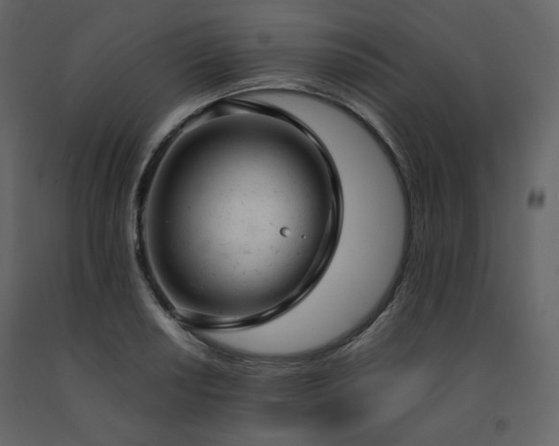 X0000091661034200708231301