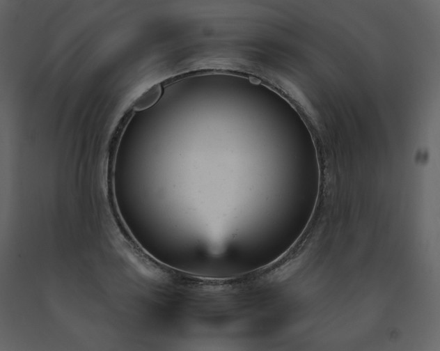 X0000091661035200708231301